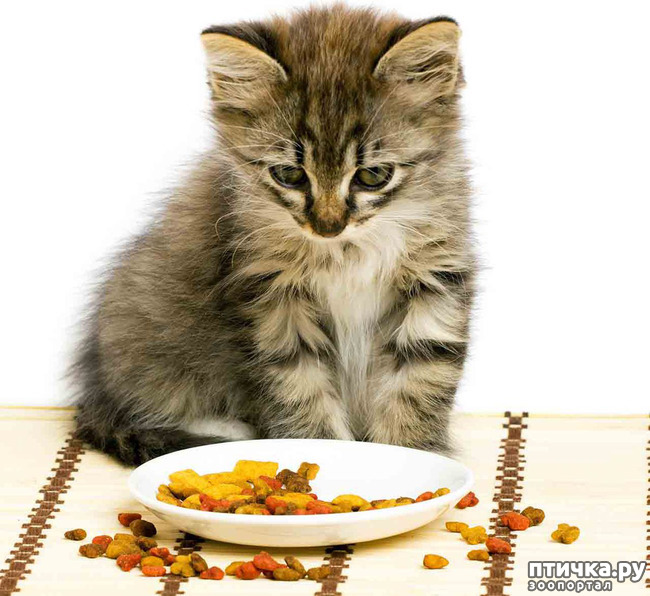 ���� 2: ������� ������� ���� (����� ����� �� ������)