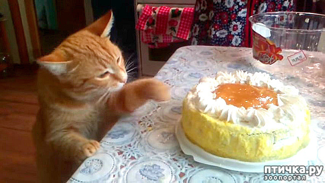 ���� 4: ����� ����� ���!