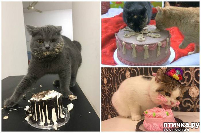 ���� 5: ����� ����� ���!