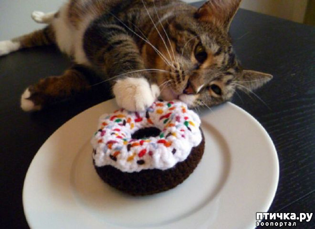 ���� 6: ����� ����� ���!