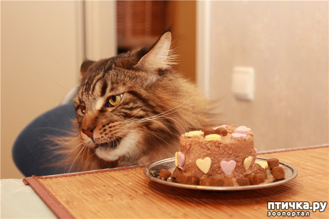 ���� 7: ����� ����� ���!