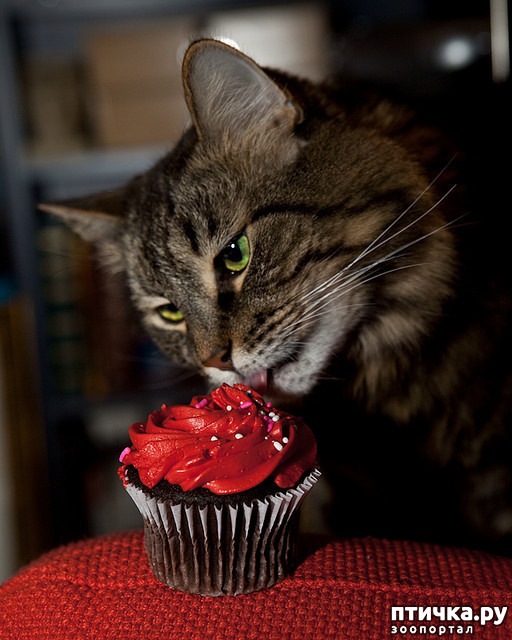 ���� 8: ����� ����� ���!