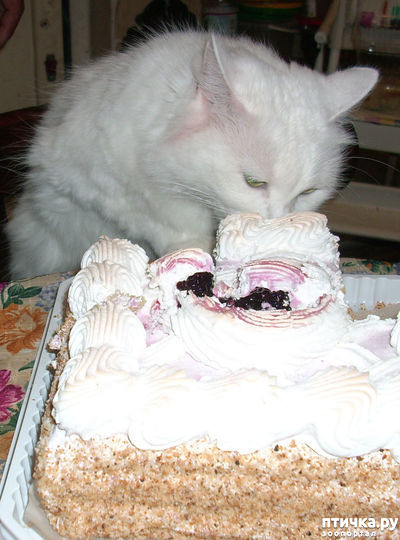 ���� 9: ����� ����� ���!