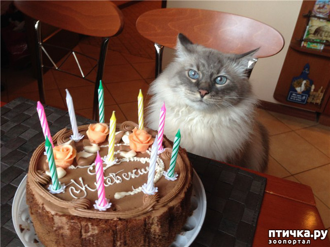 ���� 10: ����� ����� ���!