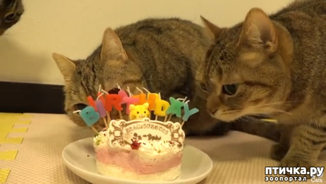 ���� 11: ����� ����� ���!