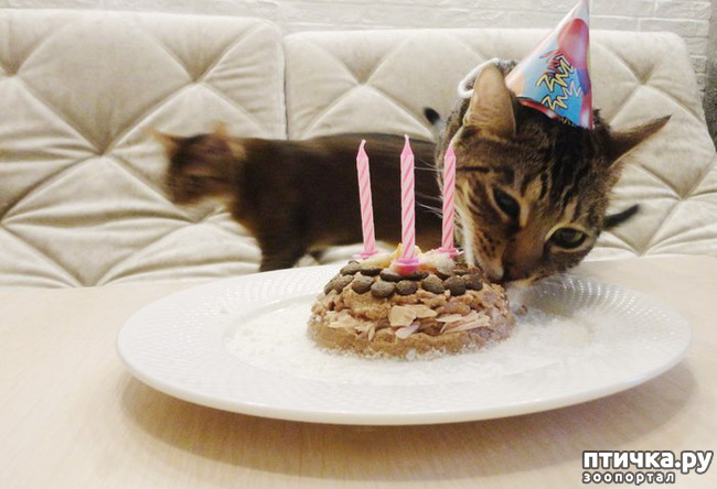 ���� 12: ����� ����� ���!