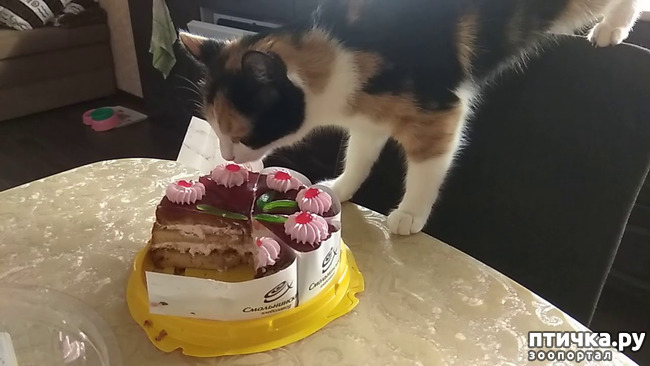 ���� 13: ����� ����� ���!