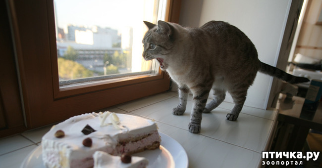 ���� 14: ����� ����� ���!