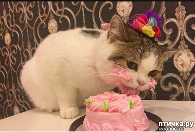 ���� 15: ����� ����� ���!