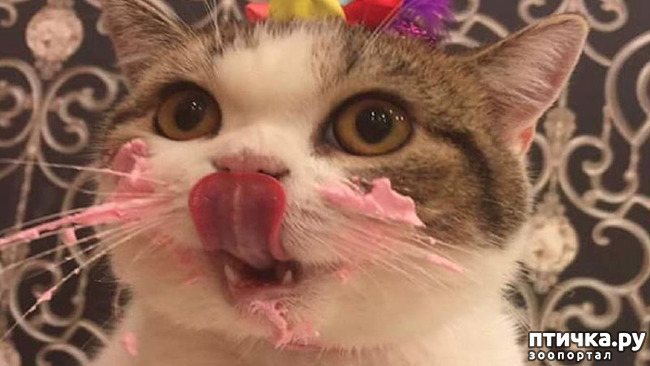 ���� 16: ����� ����� ���!