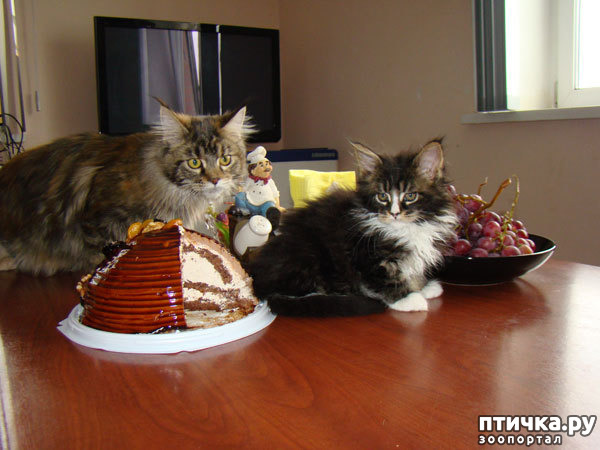 ���� 17: ����� ����� ���!