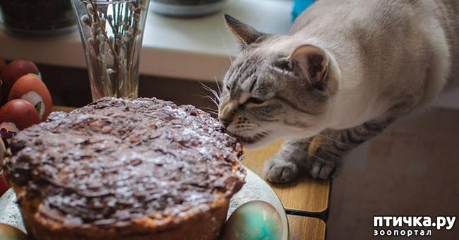 ���� 18: ����� ����� ���!