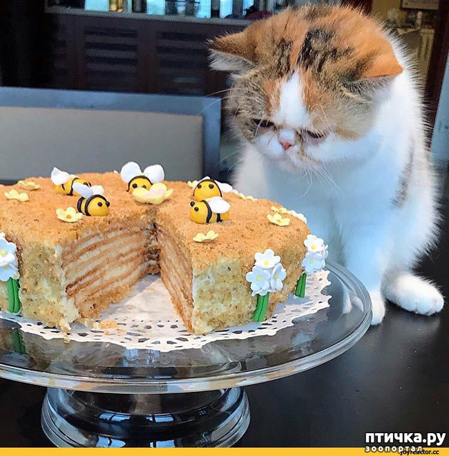 ���� 19: ����� ����� ���!