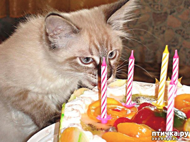 ���� 21: ����� ����� ���!