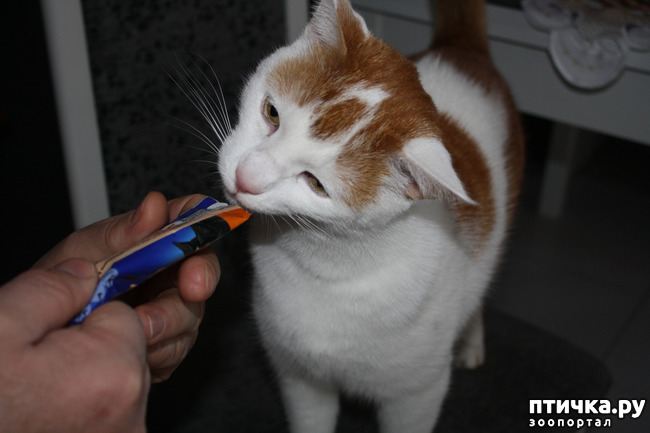 ���� 2: �������� ��� ���� ������� �������.