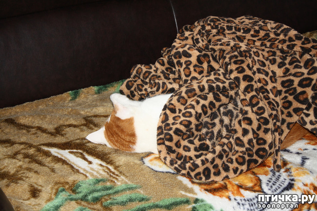 ���� 2: ��� ����� ��� ������ �� �������������� �����