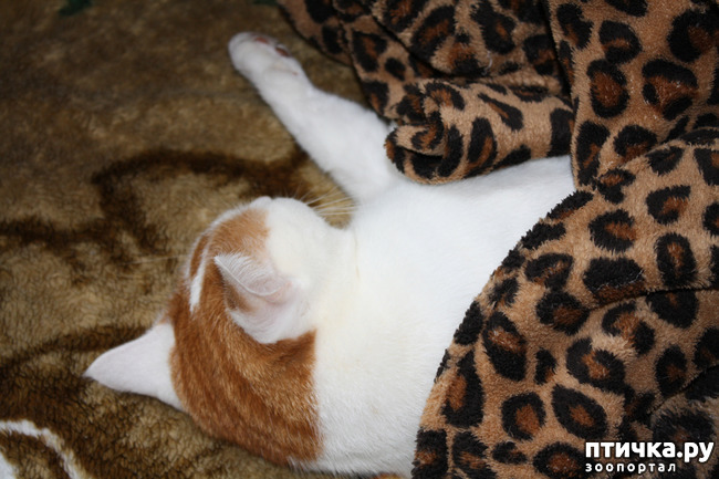 ���� 3: ��� ����� ��� ������ �� �������������� �����