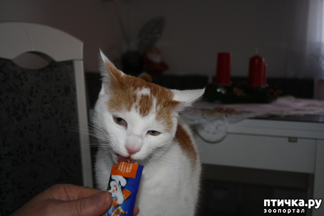 ���� 3: �������� ��� ���� ������� �������.