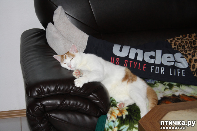 ���� 4: ��� ����� ��� ������ �� �������������� �����