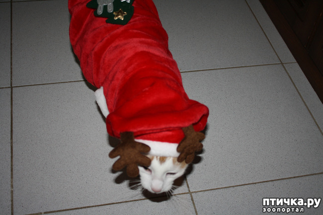 ���� 6: ��� ����� ��� ������ �� �������������� �����