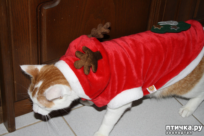 ���� 7: ��� ����� ��� ������ �� �������������� �����