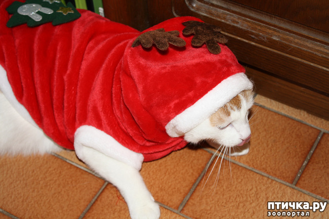 ���� 8: ��� ����� ��� ������ �� �������������� �����