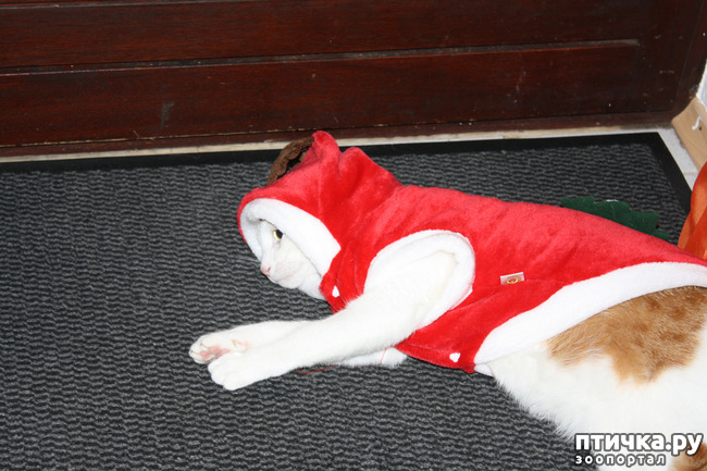 ���� 10: ��� ����� ��� ������ �� �������������� �����