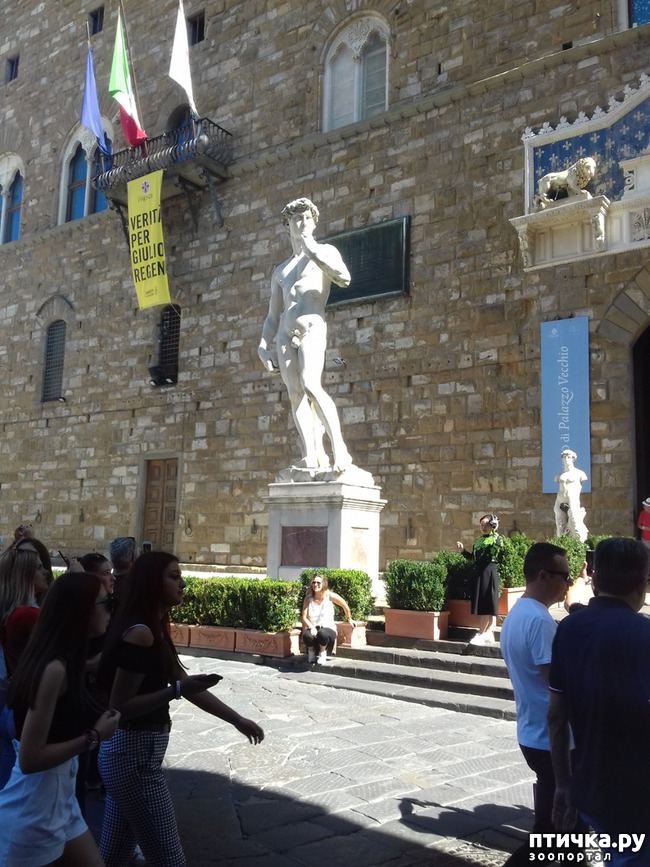 ���� 13: �������� �� ���������