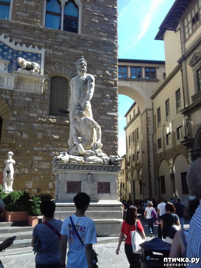 ���� 14: �������� �� ���������