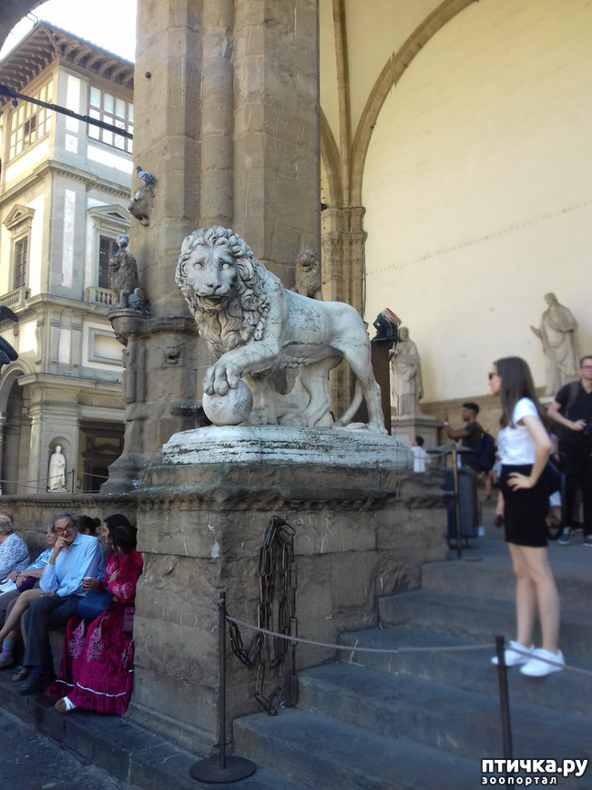 ���� 15: �������� �� ���������