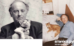 ����: ������������ � �����