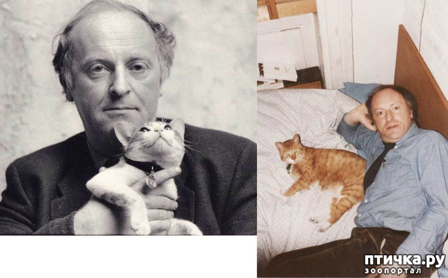 ���� 1: ������������ � �����