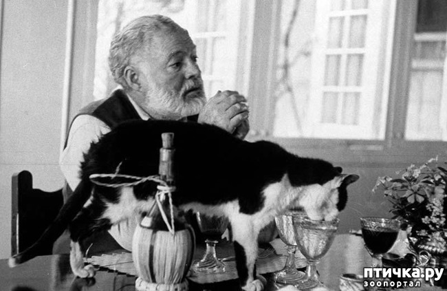 ���� 3: ������������ � �����