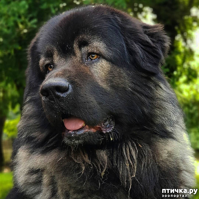 ���� 3: �����...