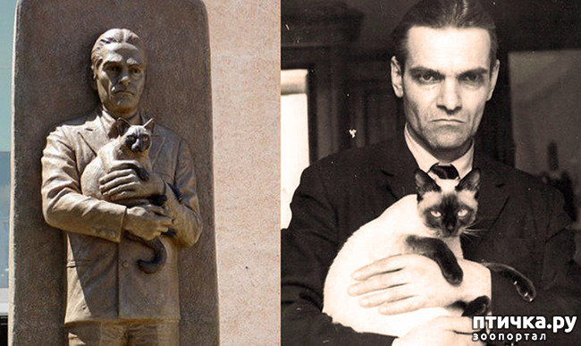 ���� 5: ������������ � �����