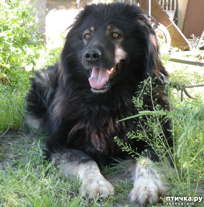 ���� 2: �����...