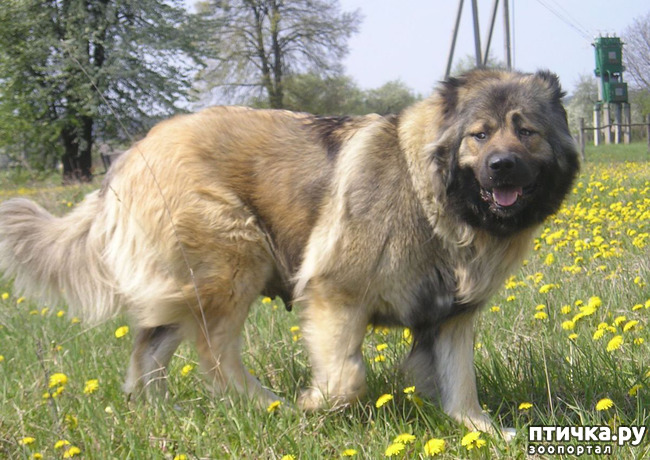 ���� 4: �����...