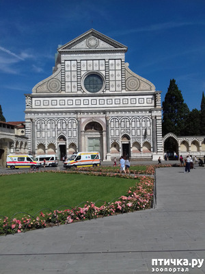 ����: �������� �� ���������