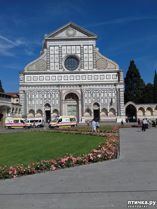 ���� 1: �������� �� ���������