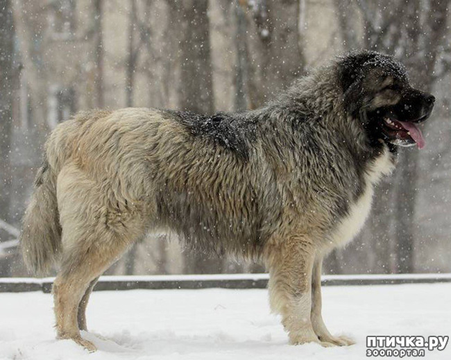 ���� 5: �����...