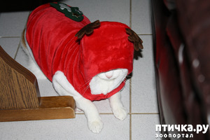 ����: ��� ����� ��� ������ �� �������������� �����