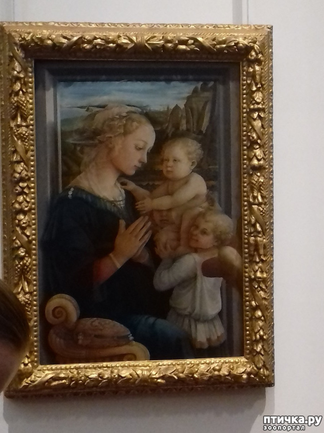 ���� 17: �������� �� ���������