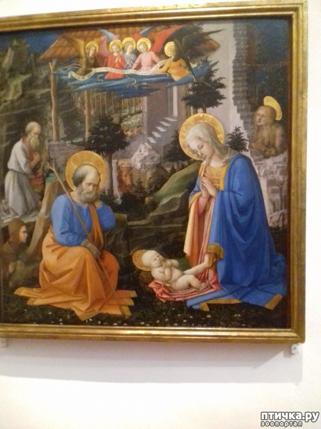 ���� 19: �������� �� ���������