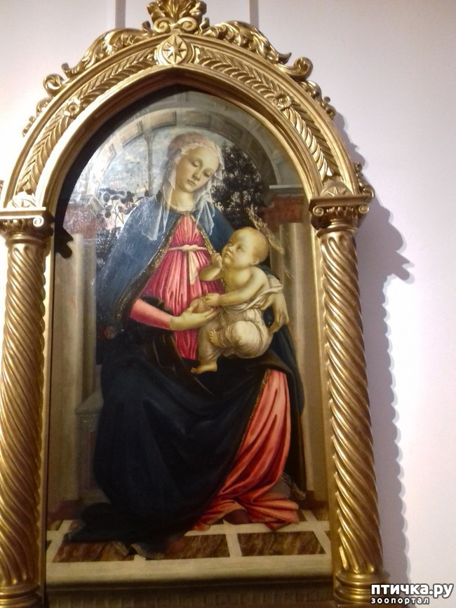 ���� 21: �������� �� ���������