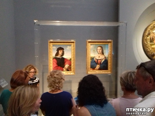 ���� 24: �������� �� ���������