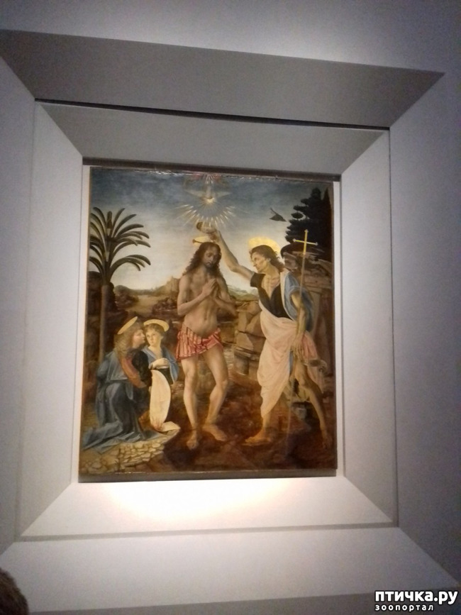 ���� 25: �������� �� ���������