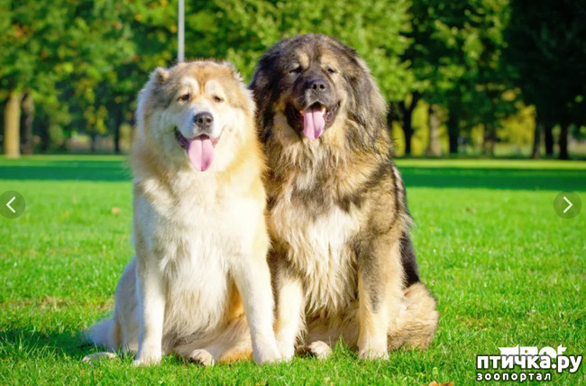 ���� 6: �����...