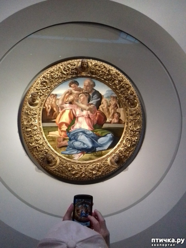 ���� 29: �������� �� ���������