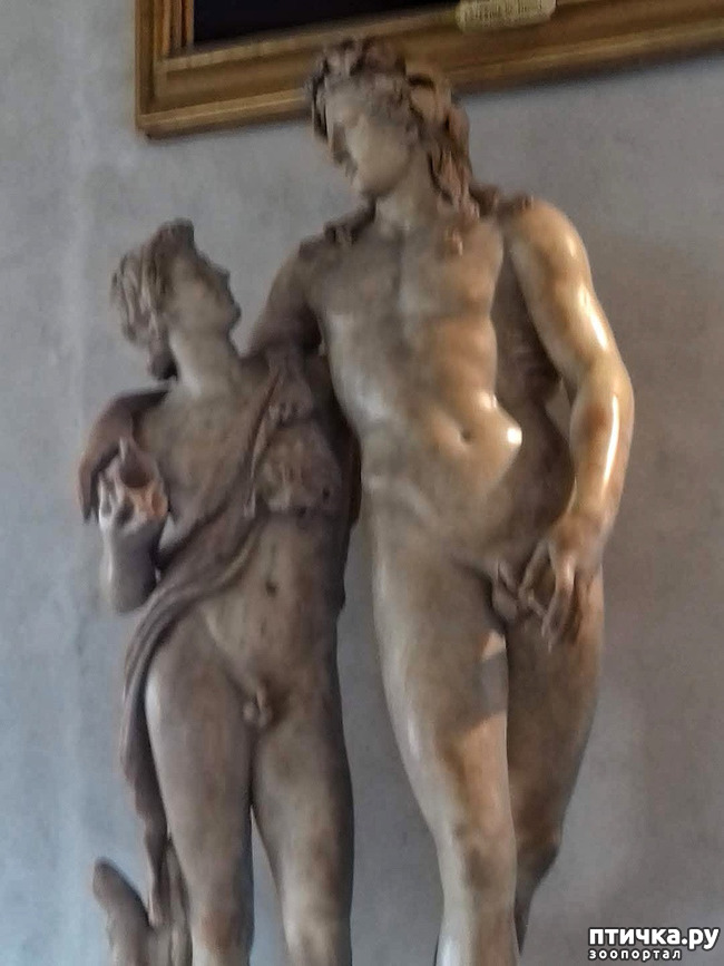 ���� 30: �������� �� ���������