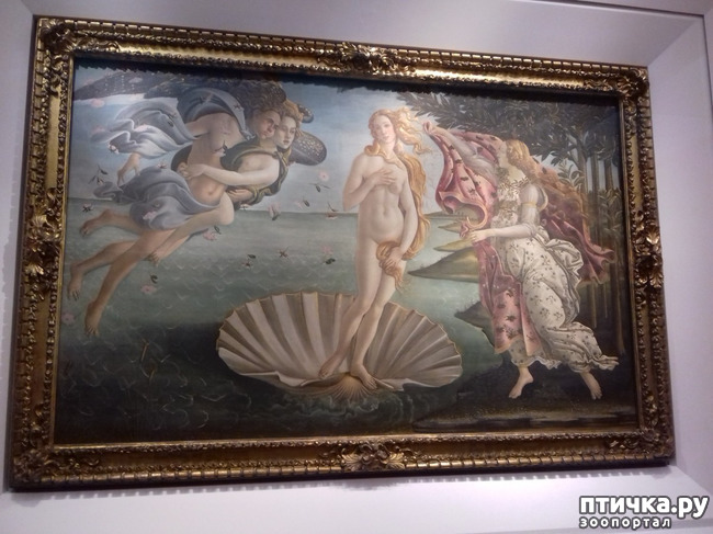 ���� 27: �������� �� ���������